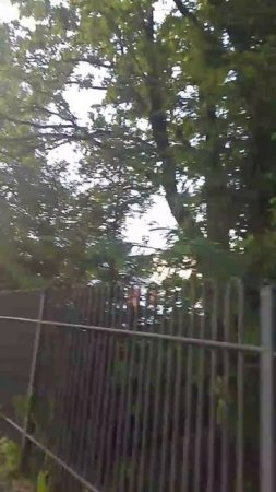 1000019401.mp4