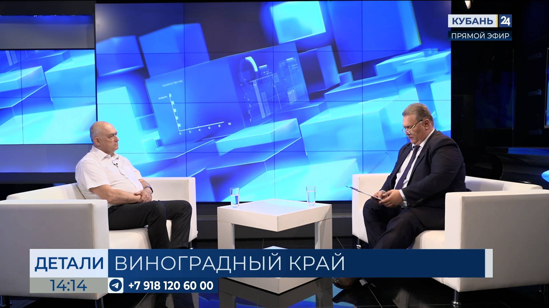 Симон Черепнин: важно отдать регионам закрепление виноградопригодных земель