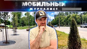 Можжевеловый "Апокалипсис": Удался ли эксперимент с озеленением  Донецка?