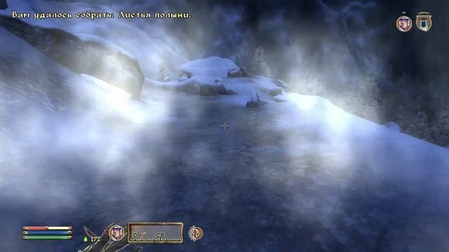 The Elder Scrolls IV (МС) часть 27