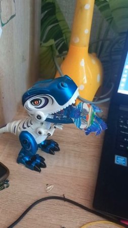 Кот Джуга кричит ПАМАГИТЕ!!!