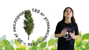 Тополиный пух: польза или вред?