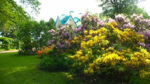 Музыка сольфеджио 417 Гц, парк Александрия Петергоф. Друзья, ставьте лайки!