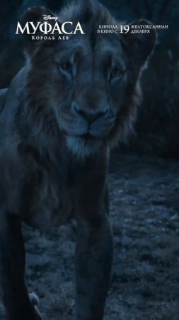 Меня_зовут Муфаса #Муфаса #Mufasa #Мультфильм #Мультик #Кино #Фильм #shorts