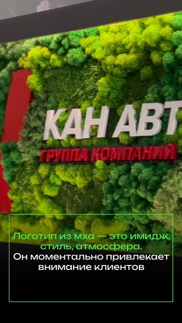 Логотип из мха с подсветкой для компании КАН АВТО