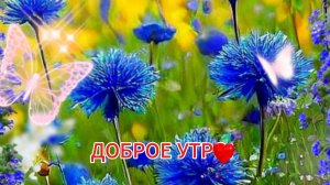ДОБРОЕ УТРО! Музыкальные видео открытки пожелания - НОВИНКА!