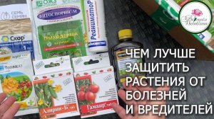 САМЫЕ ПОПУЛЯРНЫЕ СРЕДСТВА ЗАЩИТЫ САДА
