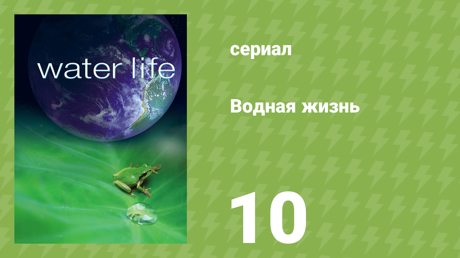 Водная жизнь 10 серия «Вода-защитница» (документальный сериал, 2009)