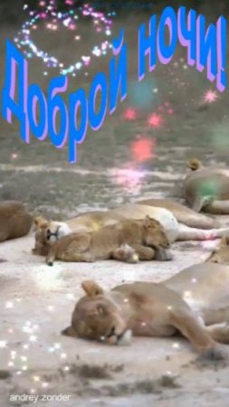 Доброй ночи!) Красивых снов) #добройночи