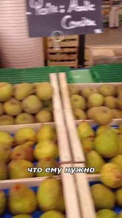 Рынок в Каннах красота