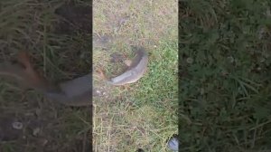 1000020469.mp4