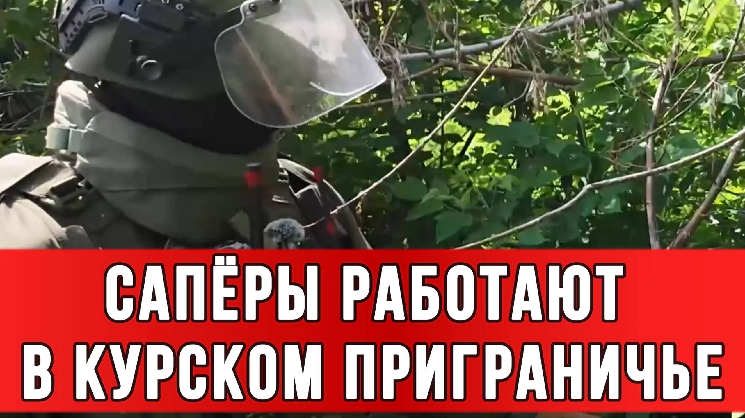 САПЁРЫ РАБОТАЮТ В КУРСКОМ ПРИГРАНИЧЬЕ «Рассчитано на массовое поражение» Сводки