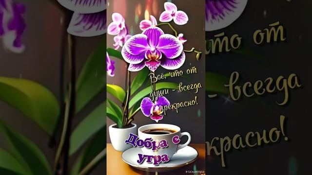 Доброе утро 💖Пусть утро начнётся с хорошего настроения 🌝💝