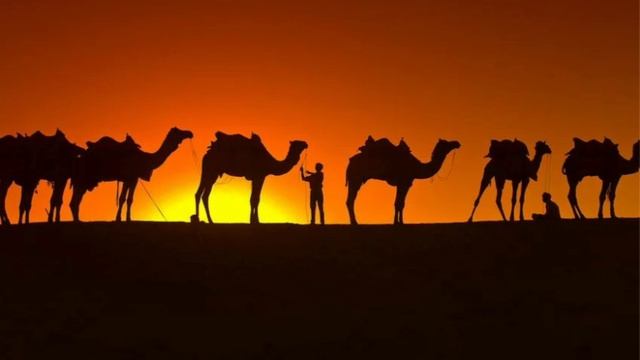 SAMIR VISHNIAKOV КАРАВАН