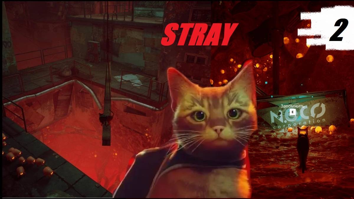 STRAY😿НАШЁЛ ПОСЛЕДНЮЮ КНИЖКУ📚ВОССТАНОВИЛИ СВЯЗЬ🎧ОТПРАВИЛСЯ НА КРЫШИ🧱часть 2