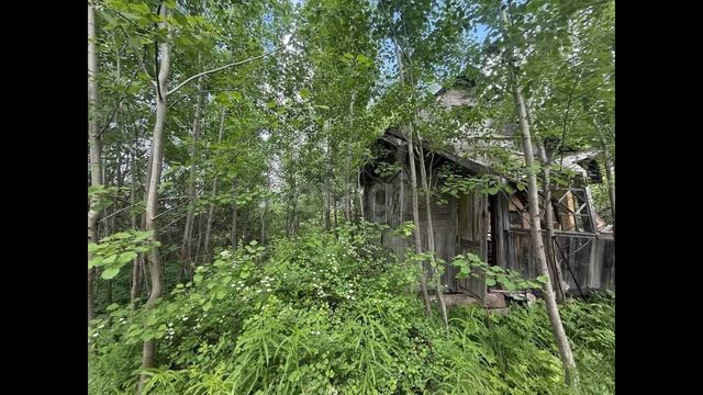 Пупышево, садоводческое некоммерческое товарищество Искра, 3-я линия