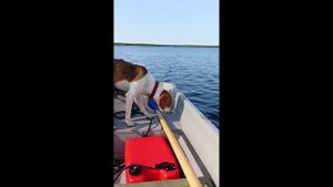 Лодка Морковка-2 на воде! Отзыв владельца.