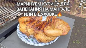 ЗОЛОТИСТАЯ КУРОЧКА. Видеоинструкция маринада целой курицы для запекания на мангале, в духовке.
