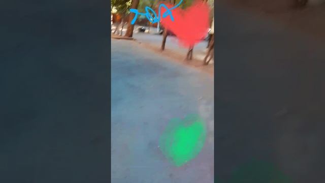 1000016657.mp4