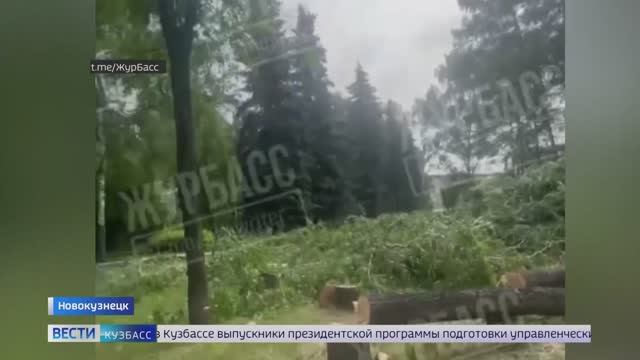 Жители Новокузнецка пытаются отстоять сквер в центре города