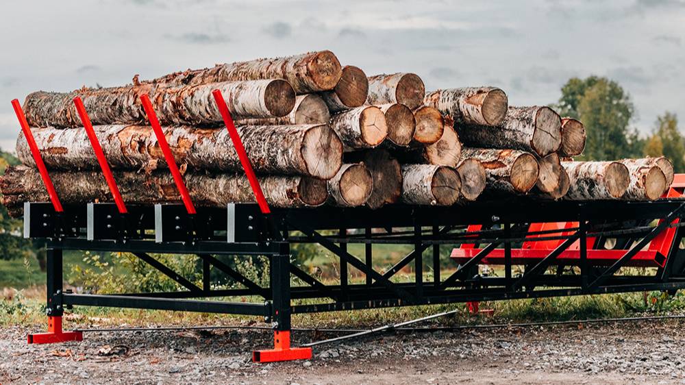 Palax Mega Log Deck эстакада для подачи бревен