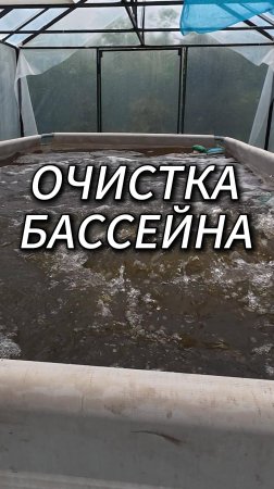 Как очистить бассейн ?)