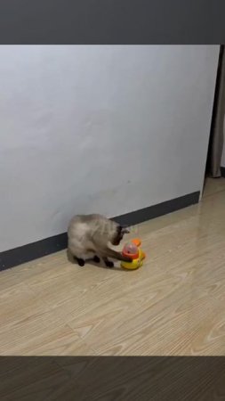 ТЕСТИРОВАНИЕ УДАЛОСЬ