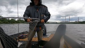 рыбалка на Оке в районе Кашира Раздача судаков безостановочная