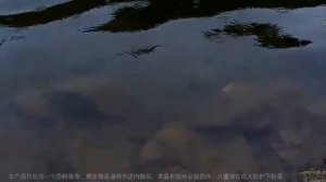 ДОИСТОРИЧЕСКИЙ КРОКОДИЛ