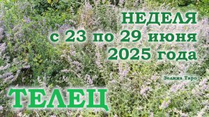 ТЕЛЕЦ | ТАРО прогноз на неделю с 23 по 29 июня 2025 года