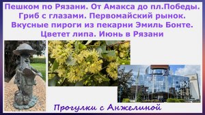 Пешком по Рязани. От Амакса до пл.Победы. Гриб, Первомайский рынок, пироги Эмиль Бонте,цветет липа.
