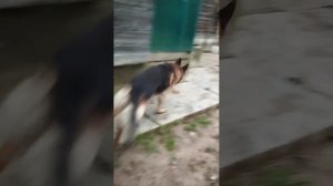 Дон