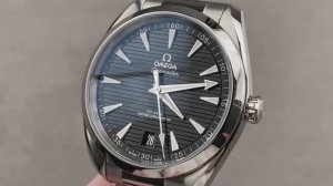 Omega Seamaster Aqua Terra 150M ref.220.10.41.21.01.001