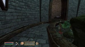 The Elder Scrolls IV (МС) часть 13