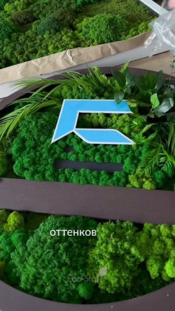 Создание логотипа из мха с LED-подсветкой для компании ЕВРОСТРОЙ