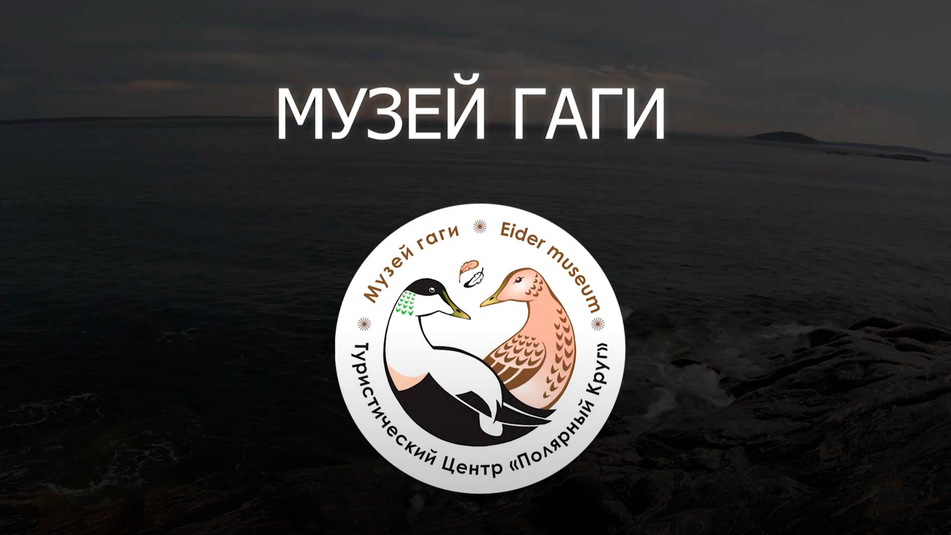 МУЗЕЙ ГАГИ. ОТКРЫТИЕ
