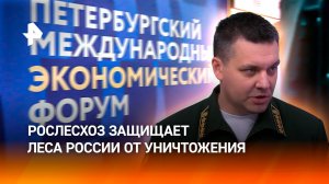 Глава Рослесхоза — о том, как ведомство защищает леса России от природных пожаров