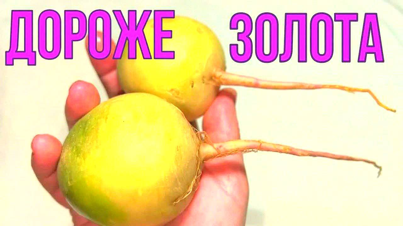 Соседка раскрыла секрет! Суперпродукт для чистых сосудов, острого ума и идеального пищеварения !
