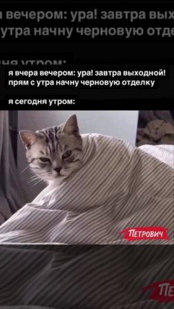 Доброго субботнего утра, друзья! 0% осуждения, 100% понимания 😂 

#ПетровичМемы