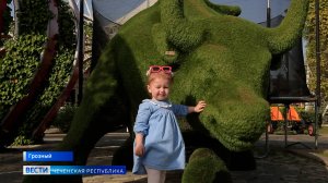 Вести Чеченской Республики 20.06.2025