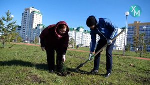 В Ханты-Мансийске продолжается масштабное озеленение