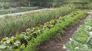 любимый огородник 😂😂😂