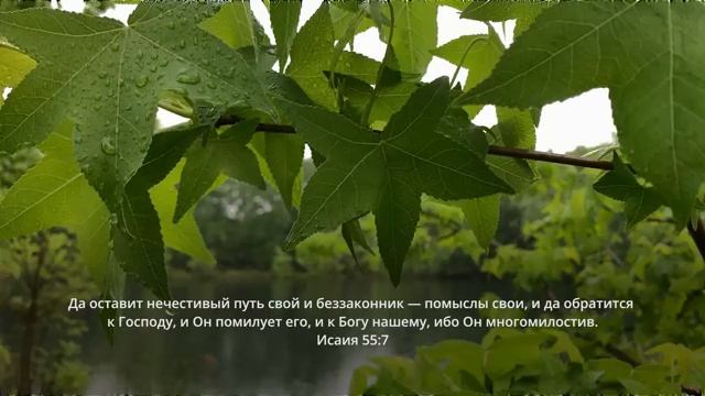 Сила в слове Божьем Стихи из Библии, которые изменят твою жизнь. смотреть онлайн