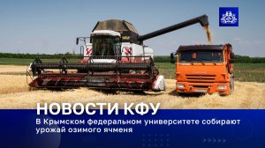 В Крымском федеральном университете собирают урожай озимого ячменя