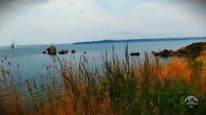 Приморский парк, Молодежный пляж и руины Мирмекия
