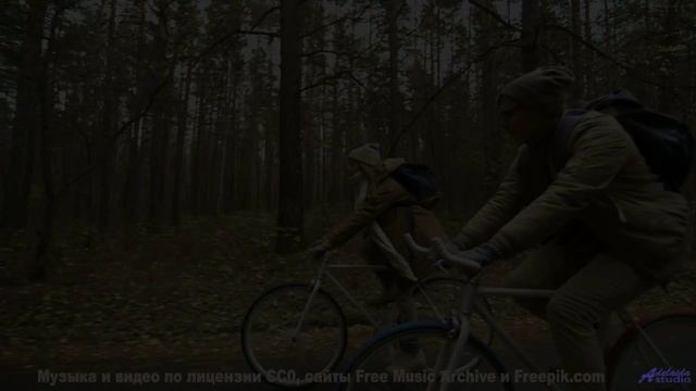 Пейзажи и ритмы пробуждают внутри скрытые силы - Green Pig -- Soft and Furious -- Fluid