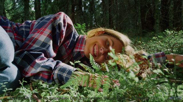 Пейзажи зажигают чувства сильнее любого заката - Slip (XVII) -- opo -- Estudios Indigeniformes