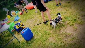 сплав 2025
урок: Как подобрать музыку для видео