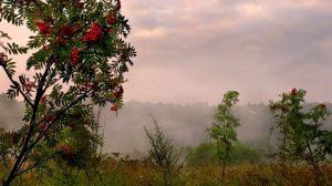 ОДИНОКАЯ СУДЬБИНА