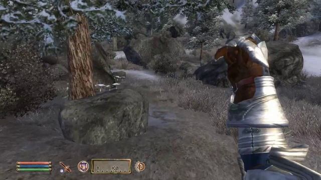 The Elder Scrolls IV (МС) часть 26